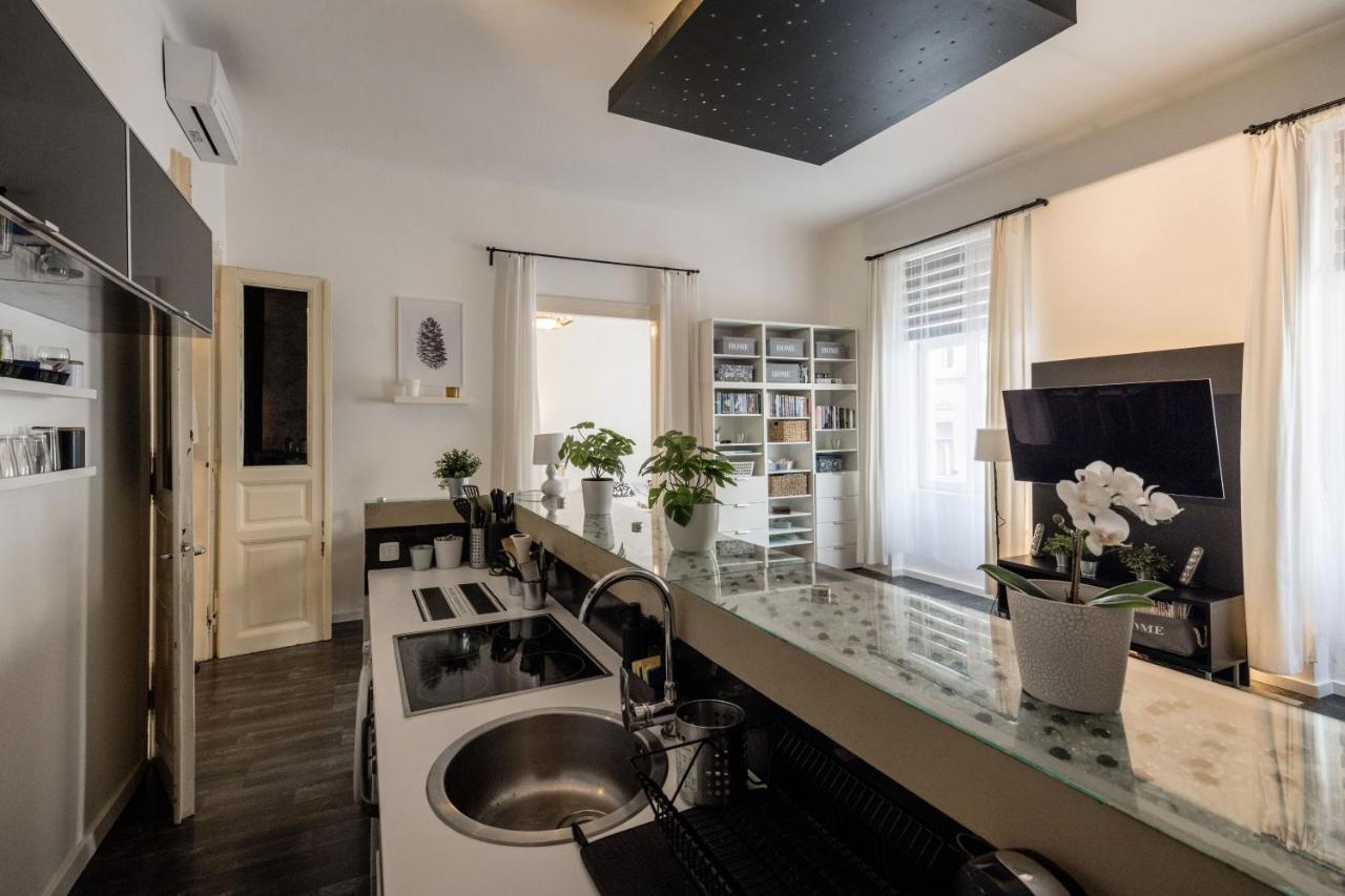 Spacious Apartment Almassy Βουδαπέστη Εξωτερικό φωτογραφία