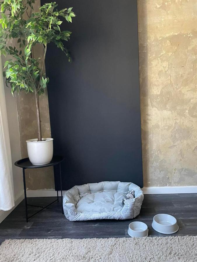 Spacious Apartment Almassy Βουδαπέστη Εξωτερικό φωτογραφία