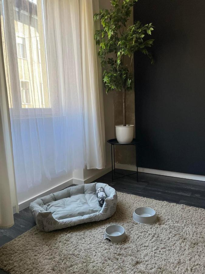 Spacious Apartment Almassy Βουδαπέστη Εξωτερικό φωτογραφία